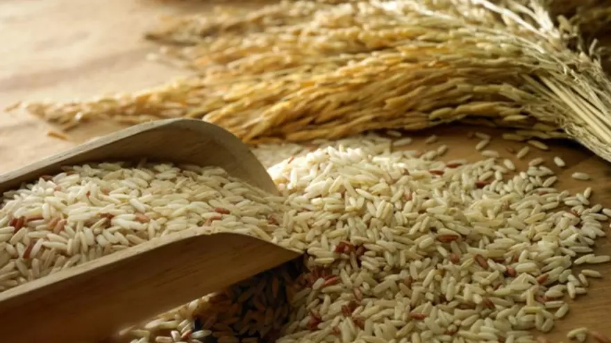 Aprueban importación de 1.7 quintales de arroz