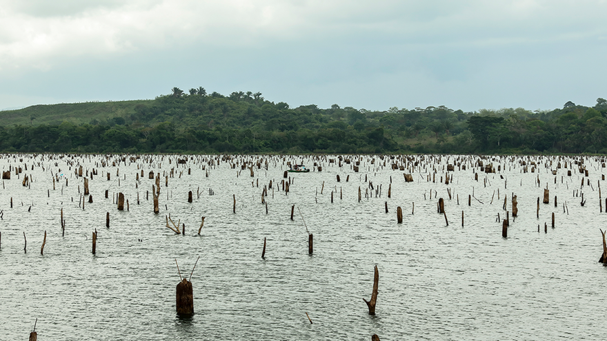Bajo nivel de Lago Gatún preocupa al acercarse temporada de Verano