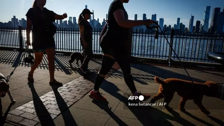 Personas con sus mascotas durante un día soleado en Nueva York